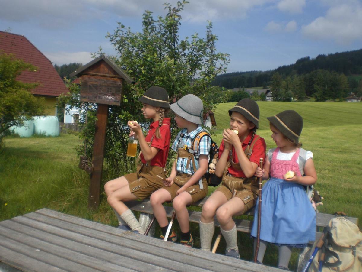 Urlaub Am Bauernhof Grabenhofer Villa Sankt Jakob im Walde Buitenkant foto