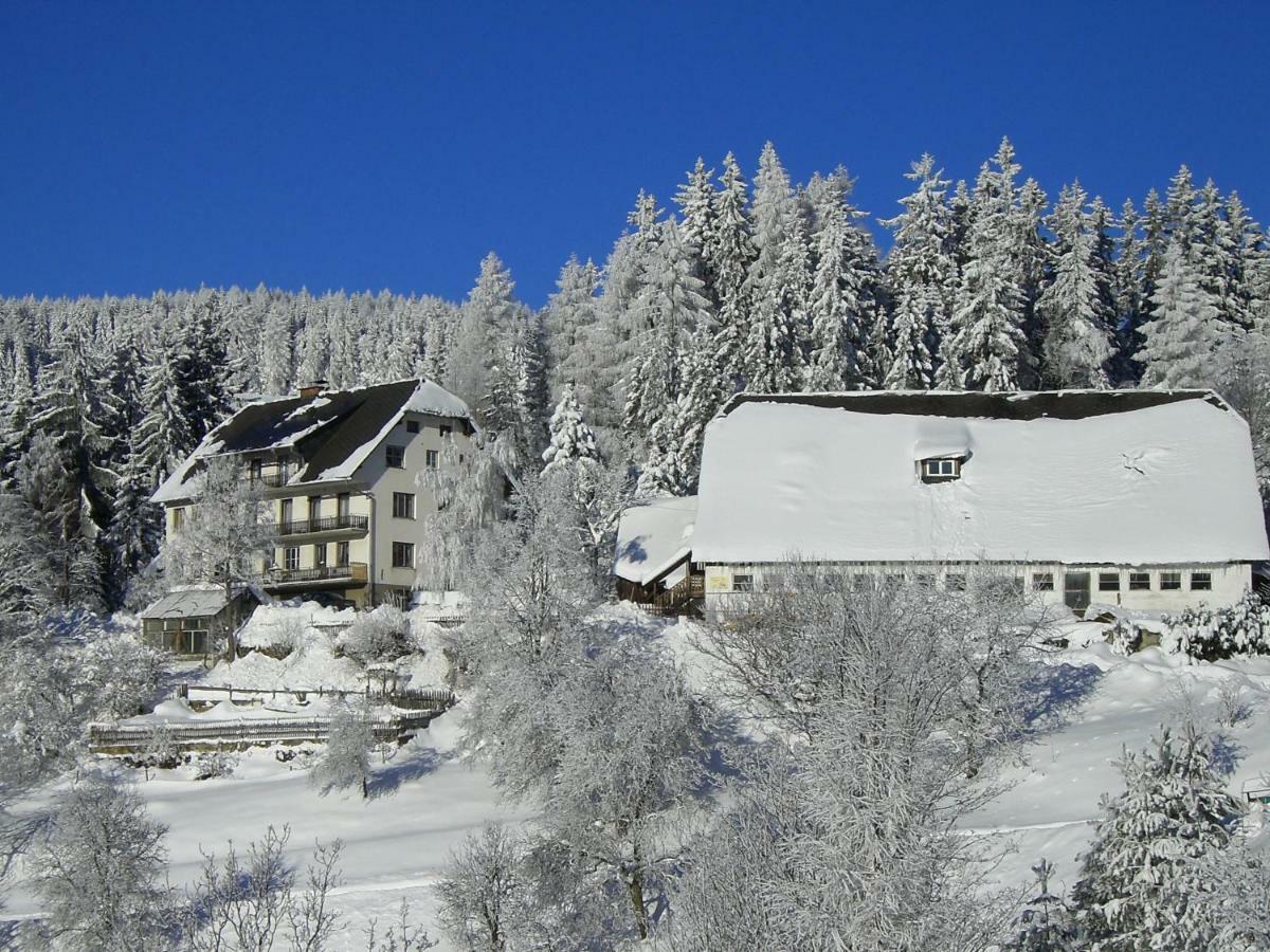 Urlaub Am Bauernhof Grabenhofer Villa Sankt Jakob im Walde Buitenkant foto