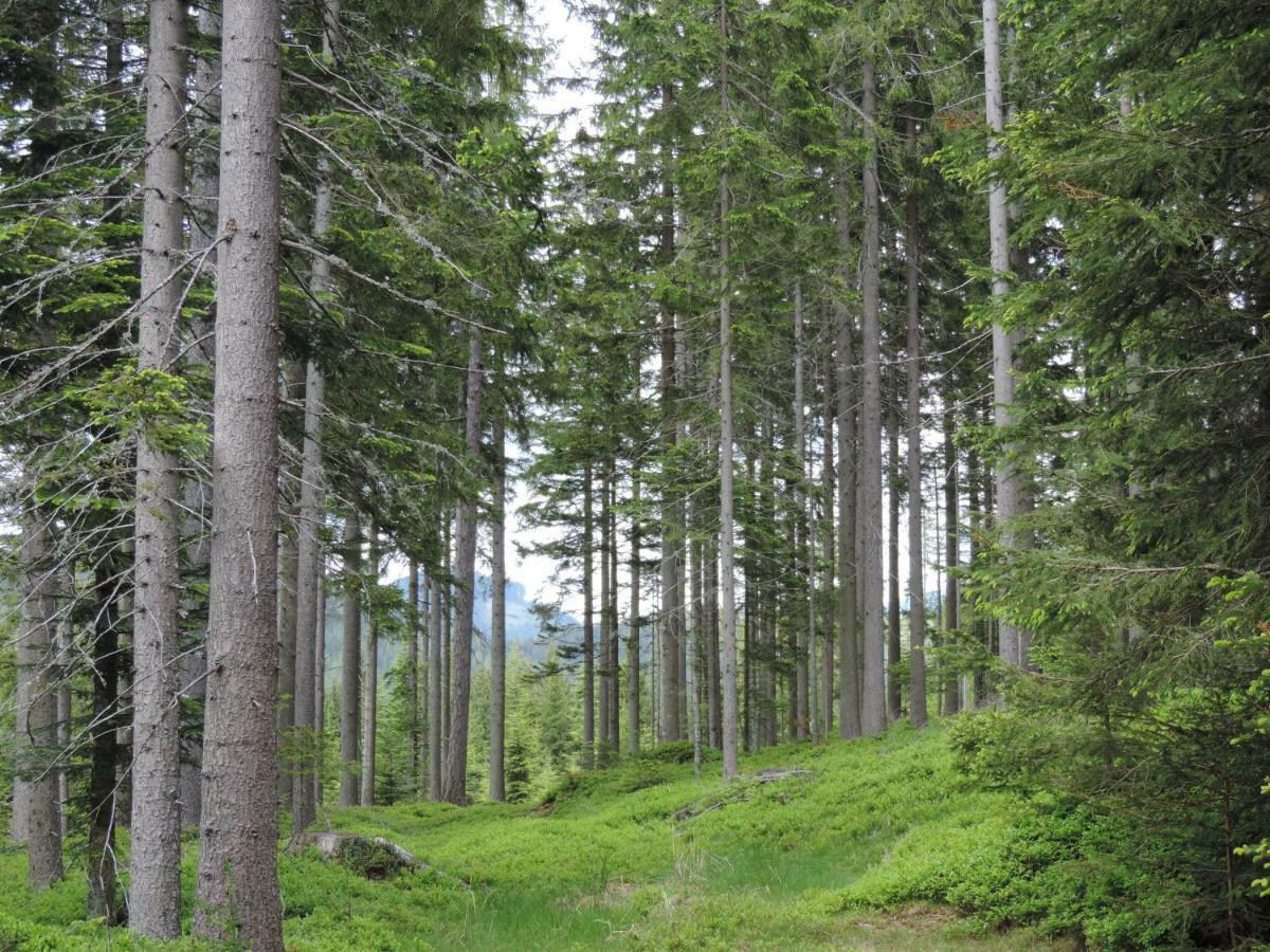 Urlaub Am Bauernhof Grabenhofer Villa Sankt Jakob im Walde Buitenkant foto