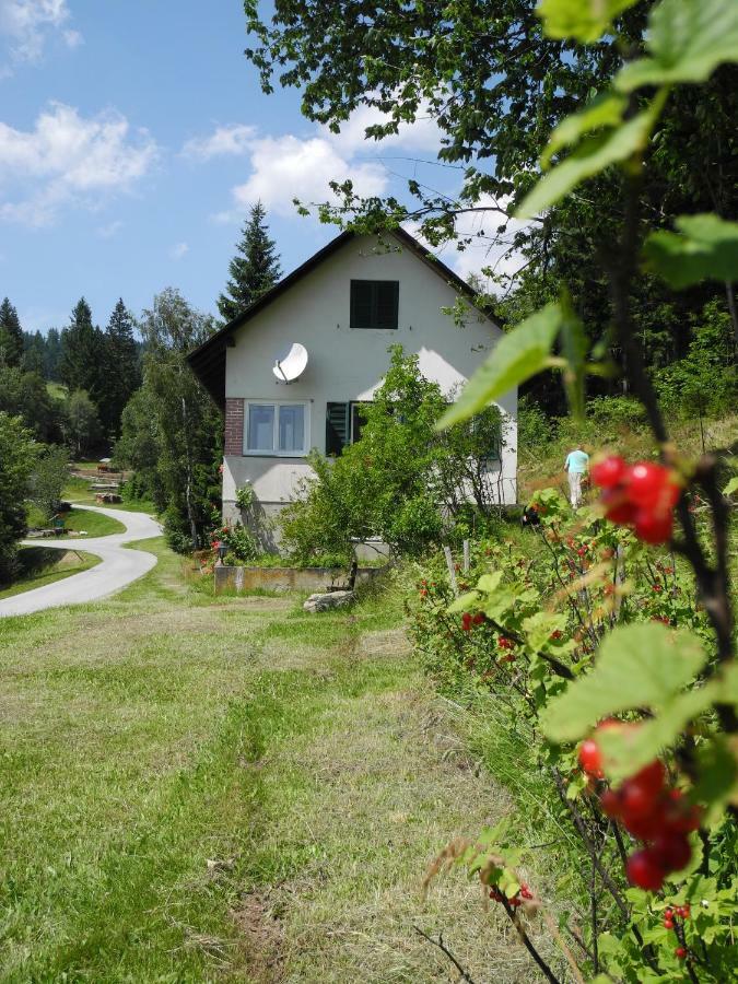 Urlaub Am Bauernhof Grabenhofer Villa Sankt Jakob im Walde Buitenkant foto